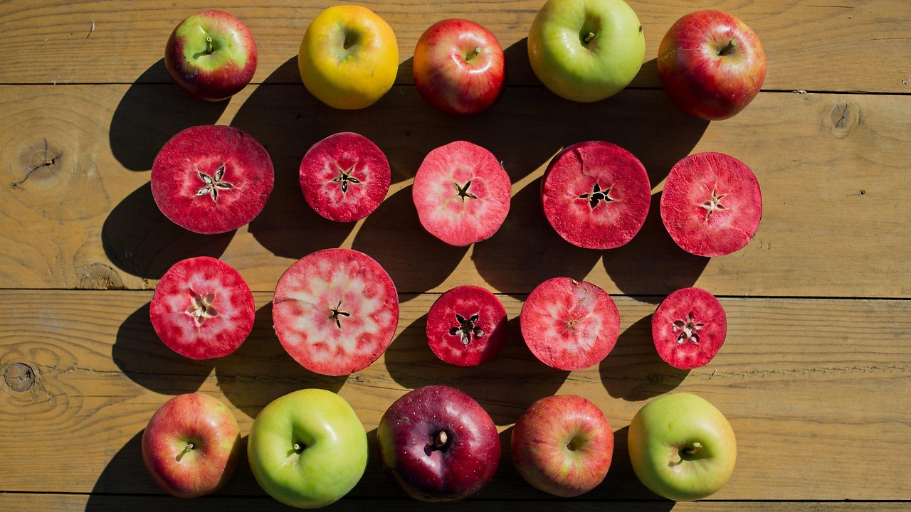 Apfel als gesunde „Bakterienschleuder“ - steiermark.ORF.at