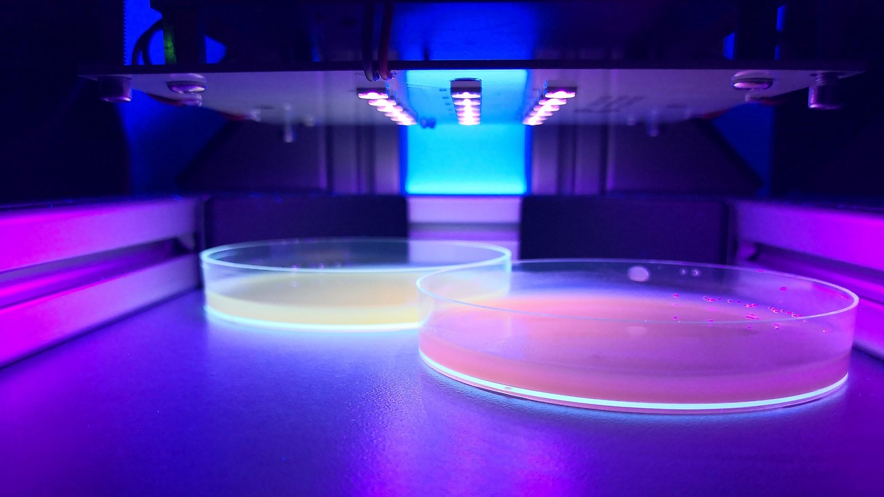 Beleuchtungsprototyp mit UV-LEDs strahlen auf Mikroalgen in Petrischalen