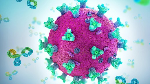 Bild von Antikörpern und Coronavirus