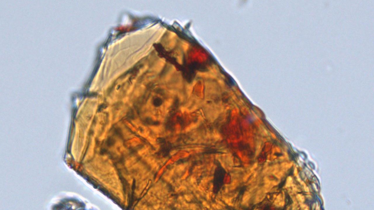 Microscope image of Kahlenbergite 