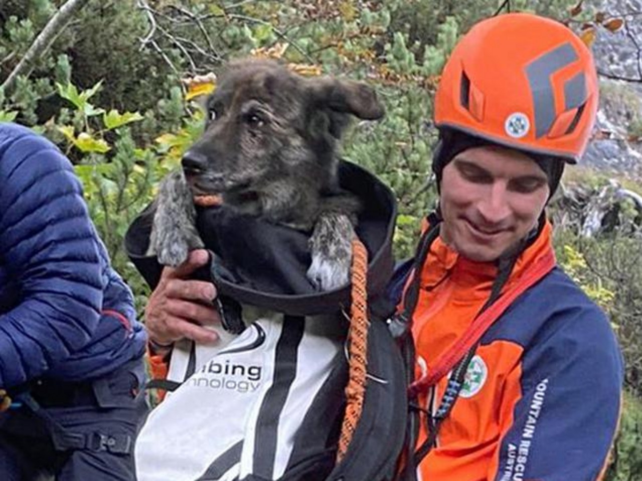 Mountain rescue workers from Salzburg and Bavaria rescued an injured bitch in mountain difficulties from the Untersberg.  Three days ago “Pupi” ran away from two hikers at the “Drachenloch”.  After days of barking that could be heard down into the valley, the rescue was finally successful. 