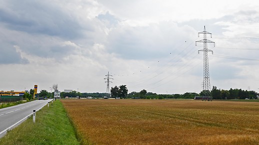 Illustration zum Thema Lobautunnel zeigt ein Feld neben einer landstraße 