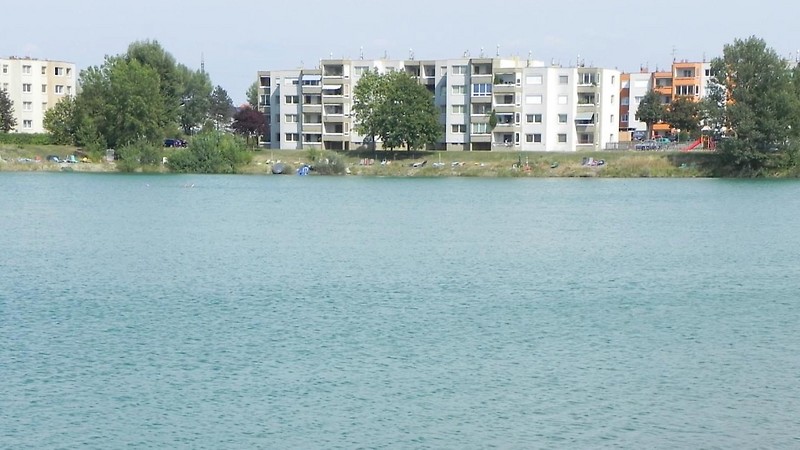 Anemone lake in Wiener Neustadt