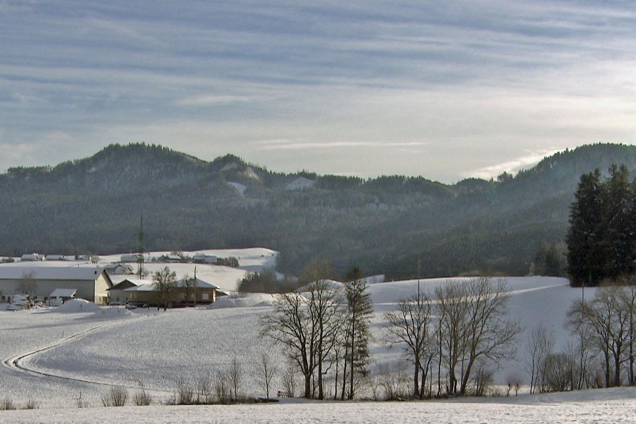 The Lehmberg between Henndorf and Thalgau in winter
