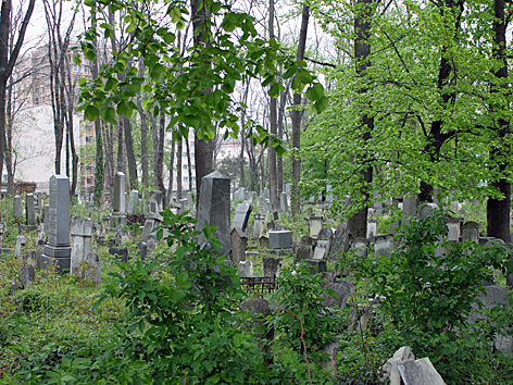 Jüdischer Friedhof in Währing