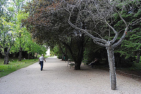 Botanischer Garten der Universität Wien, 2013,  15.623 Nägel stecken im 2012 abgestorbenen Mandelbaum.