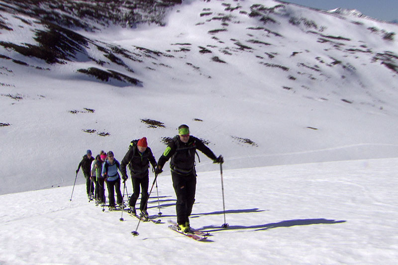 Skitourengehergruppe bei Aufstieg auf Bergflanke (in den Lungauer Nockbergen)