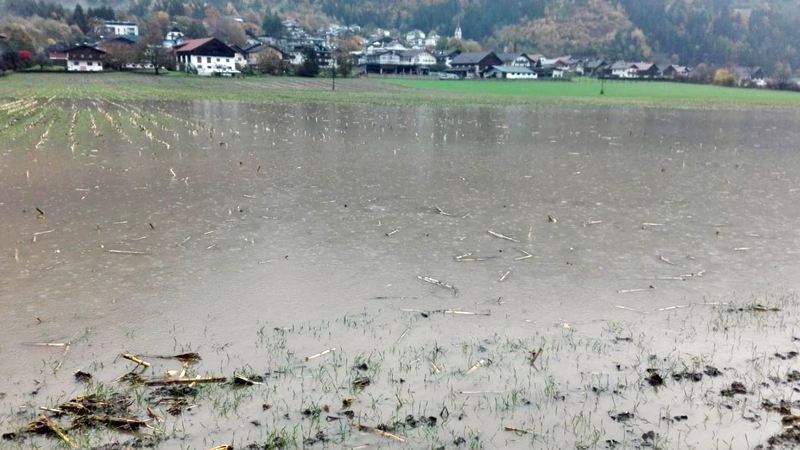 Überschwemmte Felder Nikolsdorf